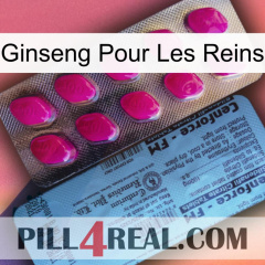 Ginseng For Kidney 35